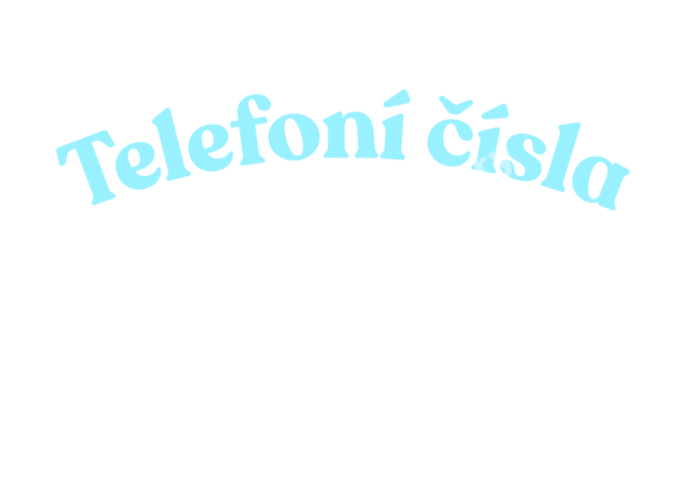 talíř klubový Bernadotte ZLATÁ